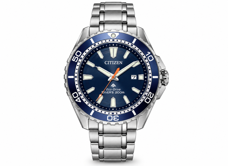 Promaster Diver
