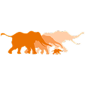 African Wildlife Foundation